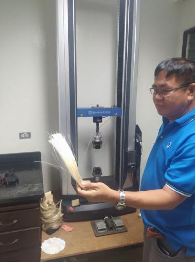 Dr. Anton Lalusin (IcropS-UPLB) showing abaca fibers. &copy; Meunier A